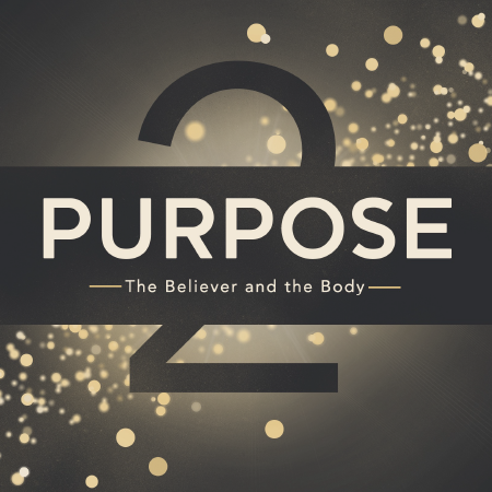 Purpose - The Believer and the Body, Part 2 Image