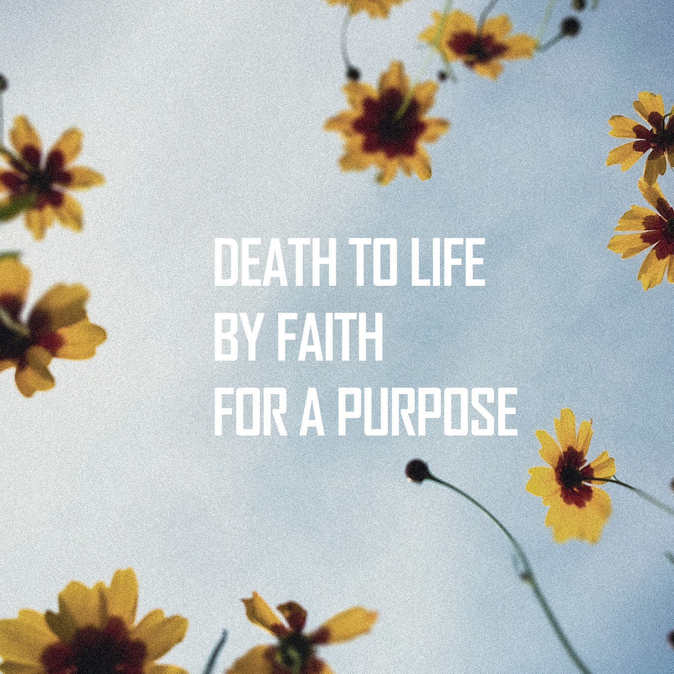 Death to Life by Faith for a Purpose Image