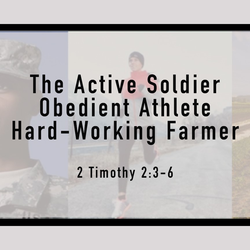The Active Soldier Obedient Athlete Hard-Working Farmer Image