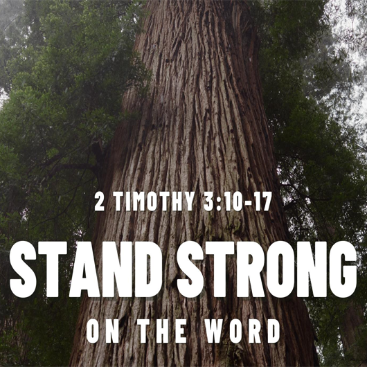 Stand Strong on the Word Image